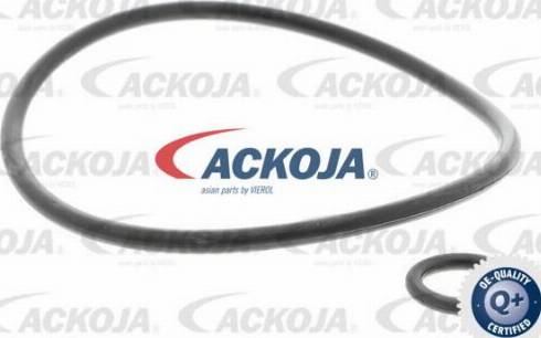 ACKOJAP A37-1151 - Stiepnis / Atsaite, Stabilizators adetalas.lv