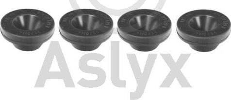 Aslyx AS-507012 - Spilvens, Gaisa filtrs adetalas.lv