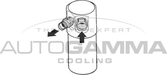 Autogamma 106181 - Sausinātājs, Kondicionieris adetalas.lv