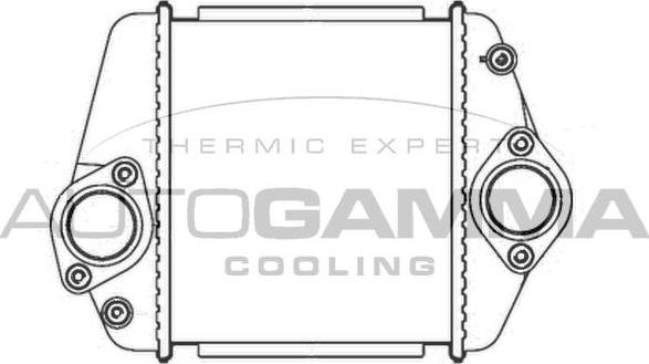 Autogamma 107323 - Starpdzesētājs adetalas.lv