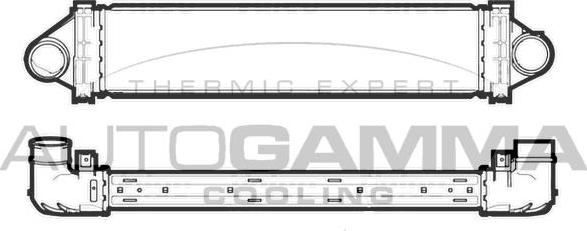 Autogamma 107371 - Starpdzesētājs adetalas.lv