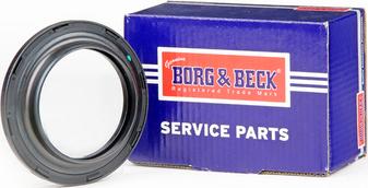 Borg & Beck BSM5020 - Ritgultnis, Amortizatora statnes balsts adetalas.lv