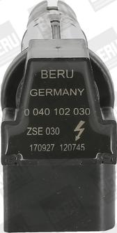 BorgWarner (BERU) ZSE030 - Aizdedzes spole adetalas.lv