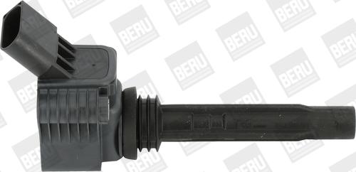 BorgWarner (BERU) ZSE067 - Aizdedzes spole adetalas.lv