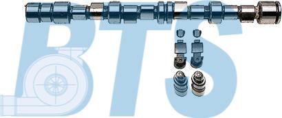 BTS Turbo CP62218 - Sadales vārpstas komplekts adetalas.lv