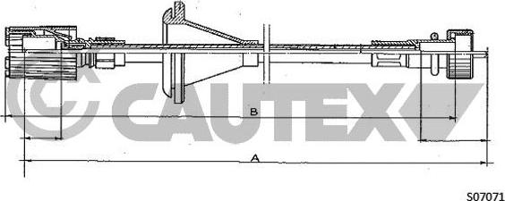 Cautex 013158 - Spidometra trose adetalas.lv