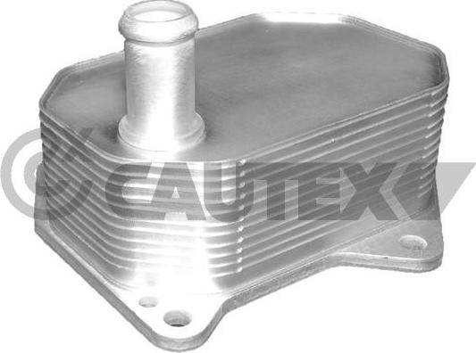 Cautex 081416 - Eļļas radiators, Motoreļļa adetalas.lv