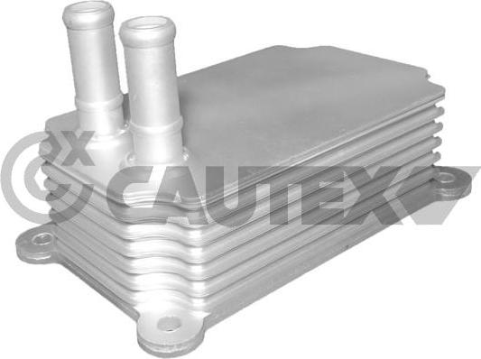 Cautex 081289 - Eļļas radiators, Motoreļļa adetalas.lv