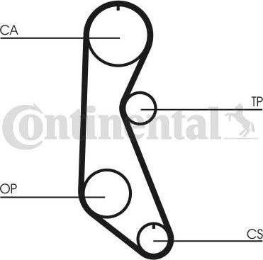 CONTITECH CT 816 - Zobsiksna adetalas.lv