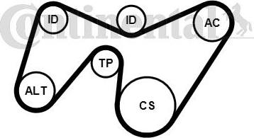 CONTITECH 6PK1642K2 - Ķīļrievu siksnu komplekts adetalas.lv