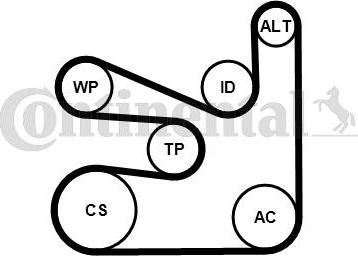 CONTITECH 6PK1660K5 - Ķīļrievu siksnu komplekts adetalas.lv