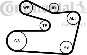 Continental 6PK1733K2 - Ķīļrievu siksnu komplekts adetalas.lv