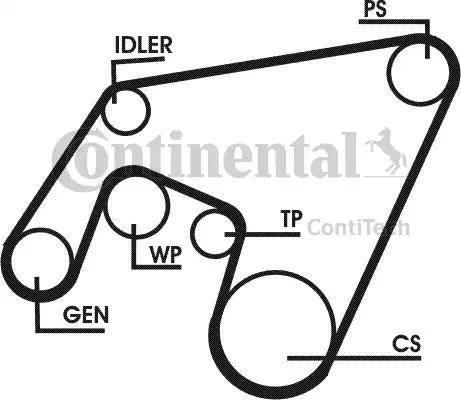 Continental 6PK2160D1 - Ķīļrievu siksna adetalas.lv