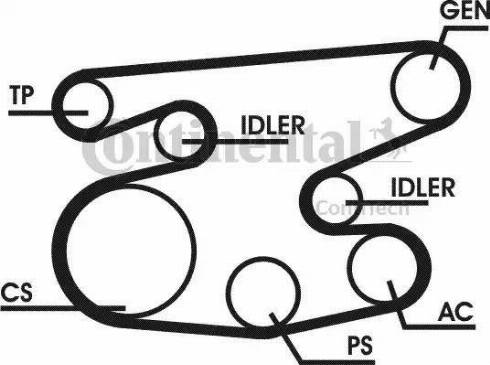 Continental 6PK2215D1 - Ķīļrievu siksnu komplekts adetalas.lv