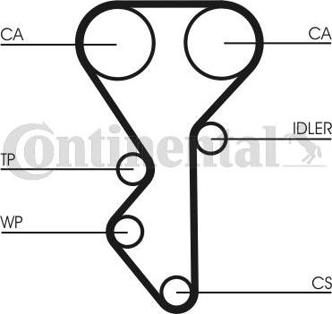 CONTITECH CT 955 - Zobsiksna adetalas.lv