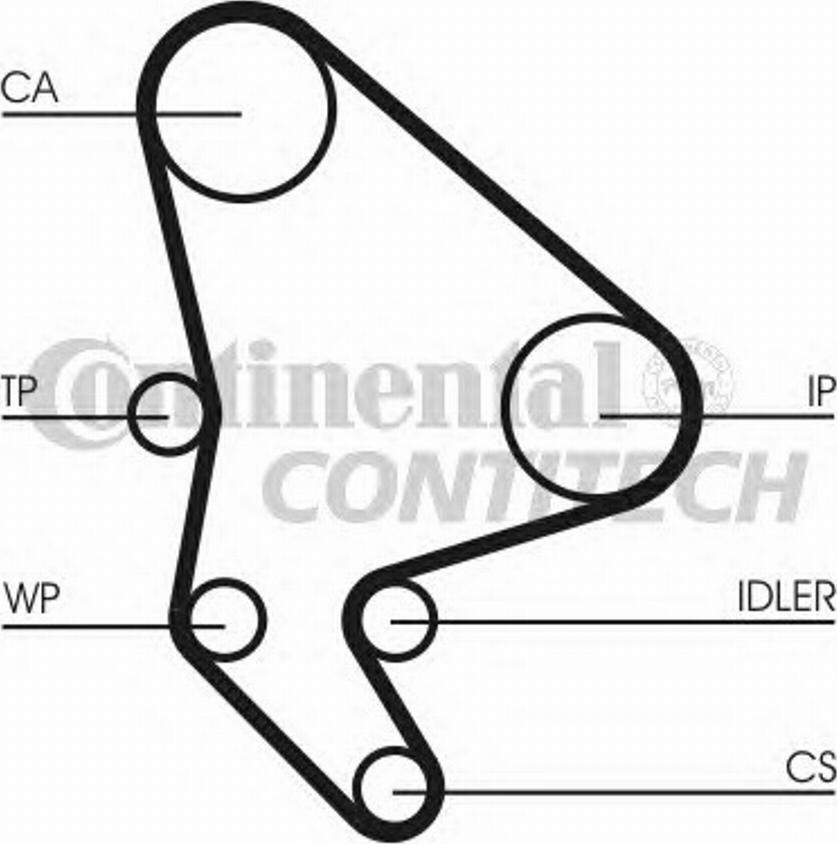 CONTITECH CT986WP1 - --- adetalas.lv