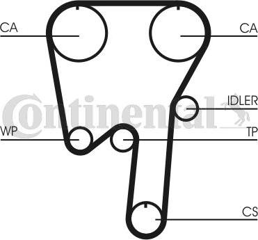 CONTITECH CT 981 - Zobsiksna adetalas.lv