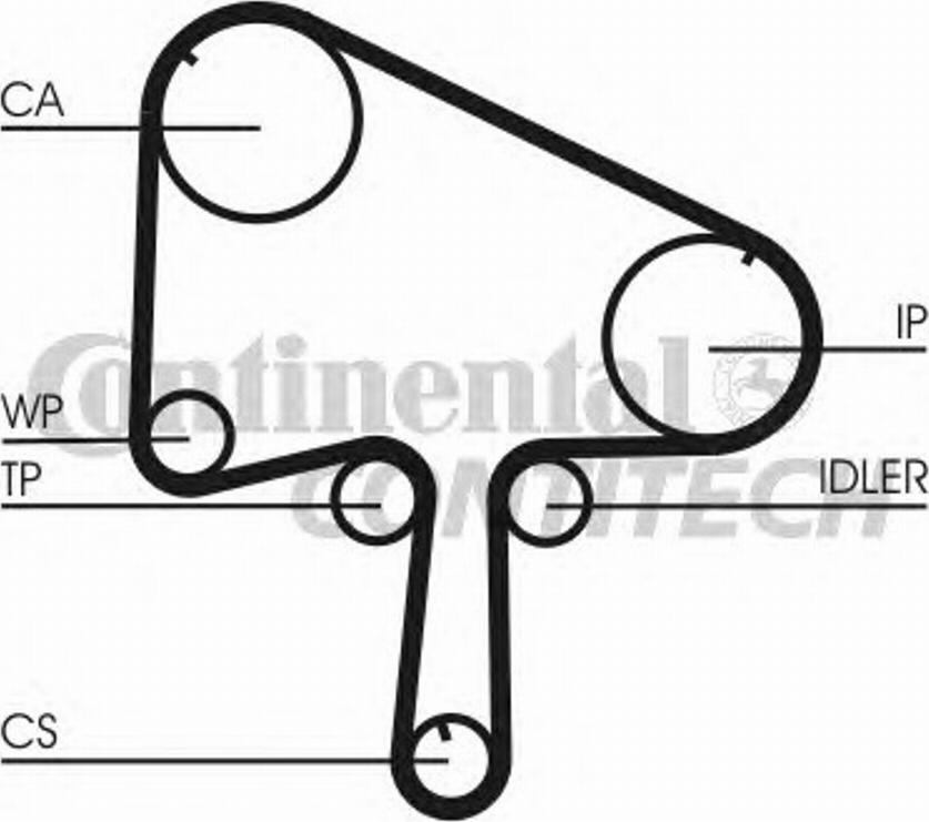 CONTITECH CT 1036 - Zobsiksna adetalas.lv