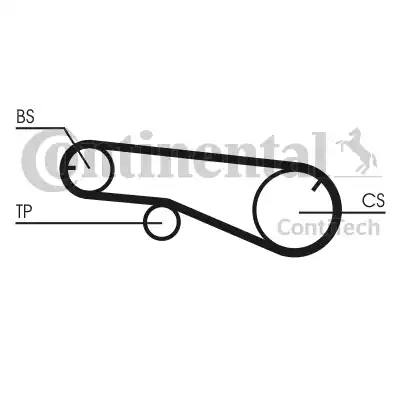 Continental CT1141 - Zobsiksna adetalas.lv