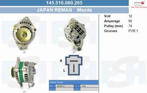 PSH 145.516.060.265 - Ģenerators adetalas.lv