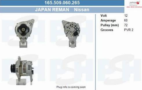 PSH 165.509.060.265 - Ģenerators adetalas.lv