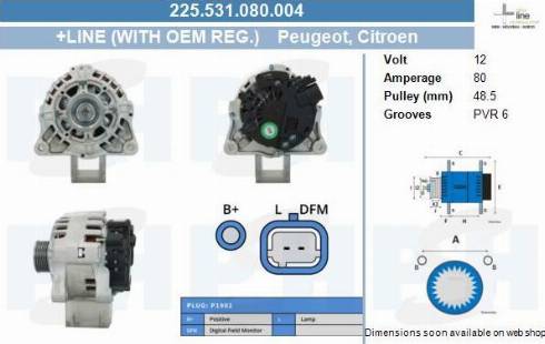 PSH 225.531.080.004 - Ģenerators adetalas.lv