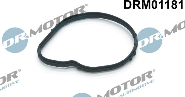 Dr.Motor Automotive DRM01181 - Blīve, Termostats adetalas.lv