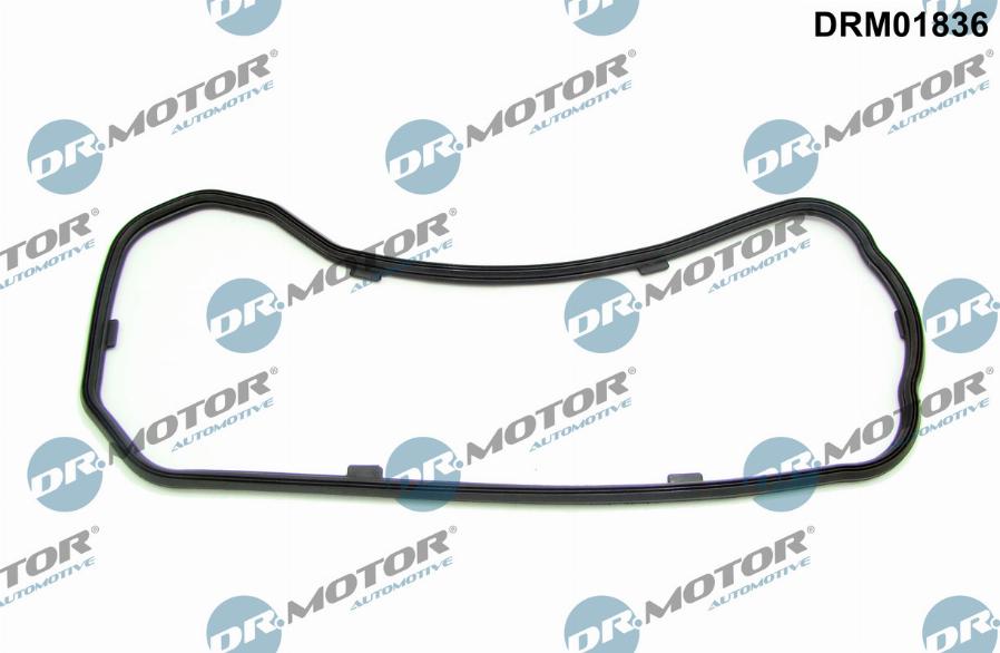 Dr.Motor Automotive DRM01836 - Blīve, Eļļas vācele adetalas.lv