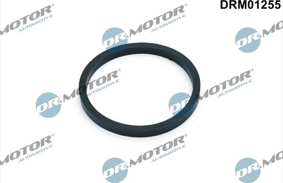 Dr.Motor Automotive DRM01255 - Blīve, Eļļas radiators adetalas.lv