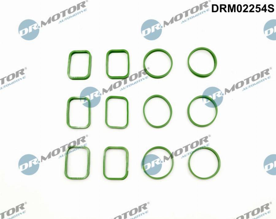 Dr.Motor Automotive DRM02254S - Blīvju komplekts, Ieplūdes kolektors adetalas.lv