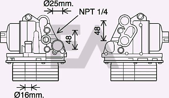 EACLIMA 37G55006 - Eļļas radiators, Motoreļļa adetalas.lv