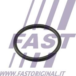 Fast FT49917 - Blīve, Termostats adetalas.lv