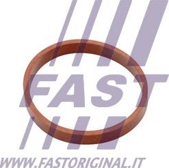 Fast FT49418 - Blīve, Ieplūdes kolektors adetalas.lv