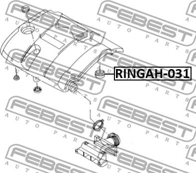 Febest RINGAH-031 - Blīve, Gaisa filtra korpuss adetalas.lv