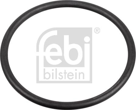 Febi Bilstein 172666 - Blīve, Degvielas sūknis adetalas.lv