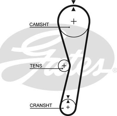 Gates 5127 - Zobsiksna adetalas.lv