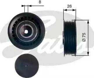 Gates T39144 - Parazīt / Vadrullītis, Ķīļrievu siksna adetalas.lv