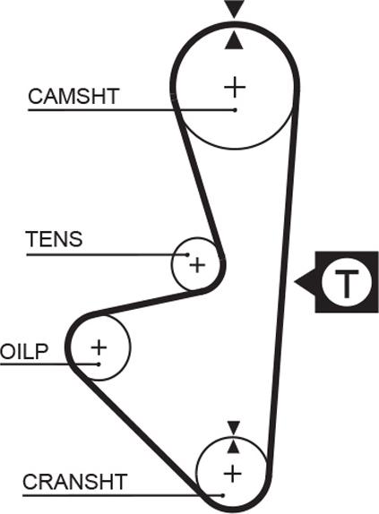 GATES-AU T147 - Zobsiksna adetalas.lv