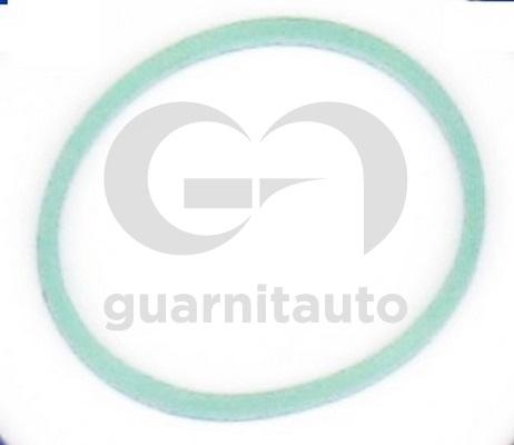 Guarnitauto 184765-8300 - Blīve, Ieplūdes kolektors adetalas.lv