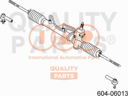 IAP QUALITY PARTS 604-06013 - Stūres šķērsstiepņa uzgalis adetalas.lv