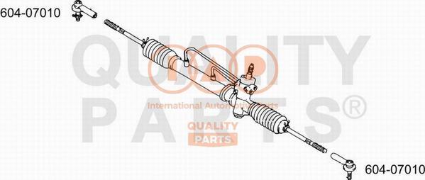 IAP QUALITY PARTS 604-07010 - Stūres šķērsstiepņa uzgalis adetalas.lv