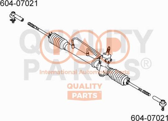 IAP QUALITY PARTS 604-07021 - Stūres šķērsstiepņa uzgalis adetalas.lv