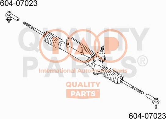 IAP QUALITY PARTS 604-07023 - Stūres šķērsstiepņa uzgalis adetalas.lv