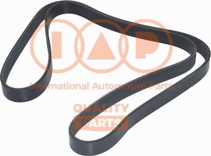 IAP QUALITY PARTS 140-13142 - Ķīļrievu siksna adetalas.lv