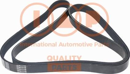 IAP QUALITY PARTS 140-14031 - Ķīļrievu siksna adetalas.lv