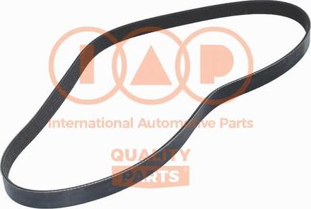 IAP QUALITY PARTS 140-16064 - Ķīļrievu siksna adetalas.lv