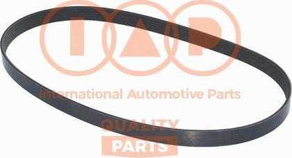 IAP QUALITY PARTS 140-17008 - Ķīļrievu siksna adetalas.lv