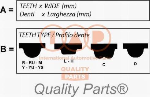 IAP QUALITY PARTS 128-20080G - Zobsiksna adetalas.lv