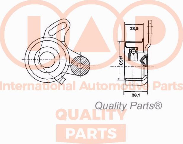 IAP QUALITY PARTS 12707040 - Spriegotājrullītis, Gāzu sadales mehānisma piedziņas siksna adetalas.lv