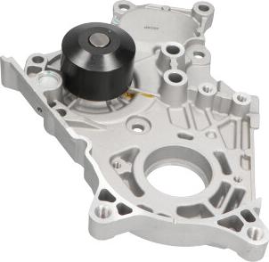 Kavo Parts TW-5133 - Ūdenssūknis adetalas.lv